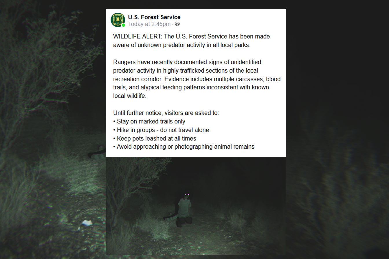 Authorities remind all hikers and park goers to stay alert and cautious while alone and defenseless.